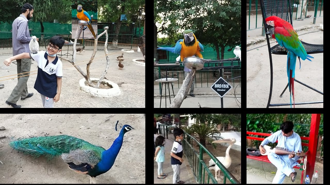 Birds Park in Pakistan | Birds Aviary | Lake View Park Islamabad