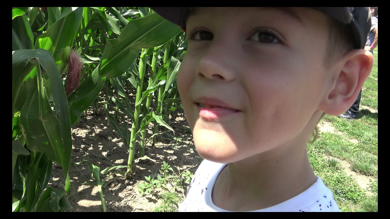 Downeys Farm