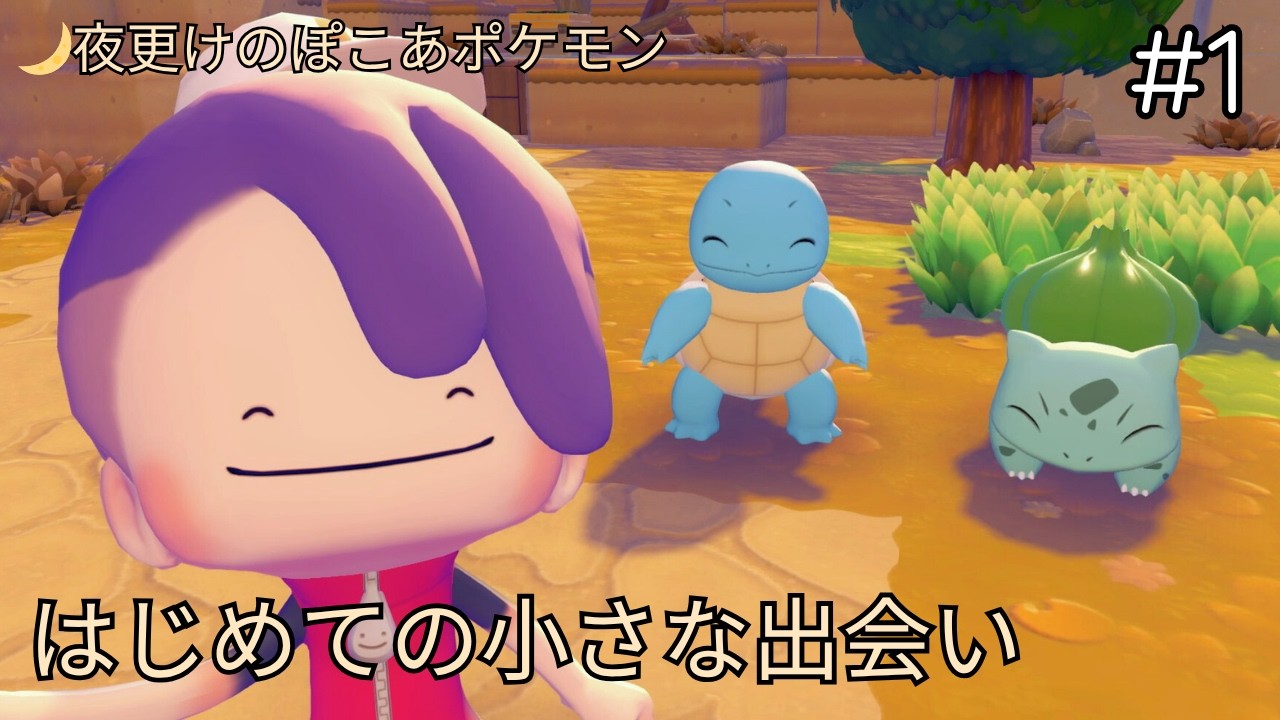夜更けのぽこあポケモン🌙 #1 はじめての小さな出会い【まったり実況】