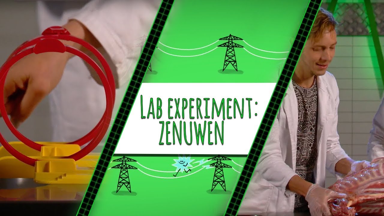 HOE WERKEN JE ZENUWEN? - TOPDOKS LAB EXPERIMENT