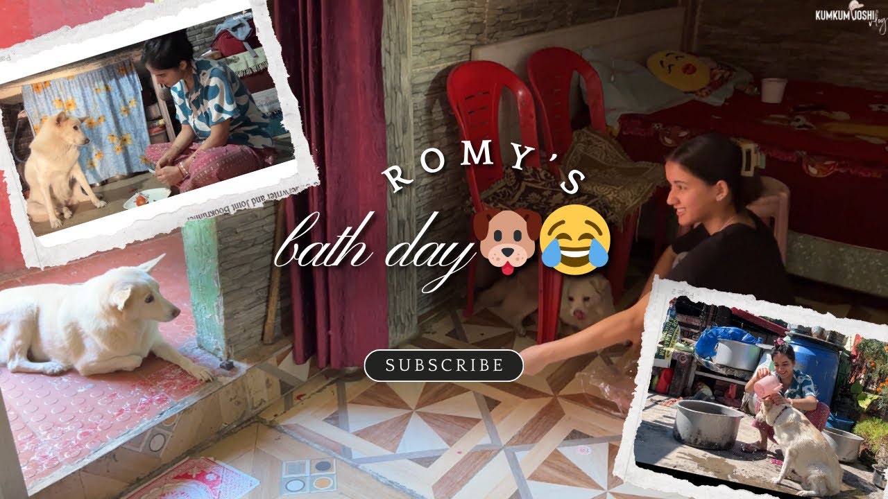 romy ko nehlana itna mushkil kyu hai 😭🐶|| naya dog kaha se aaya😱🤔|| #vlog-89|| @Kumkumjoshivlogs001 