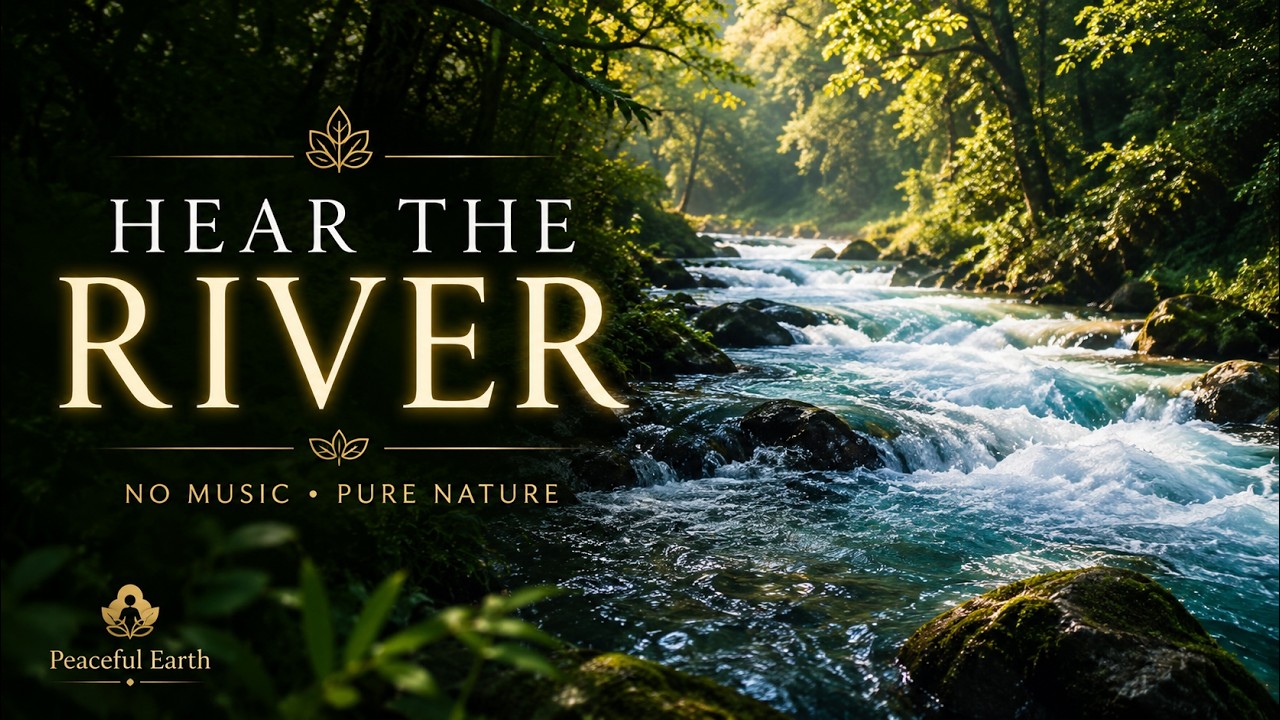 Nature Sounds for Deep Relaxation | No Music | Peaceful Earth