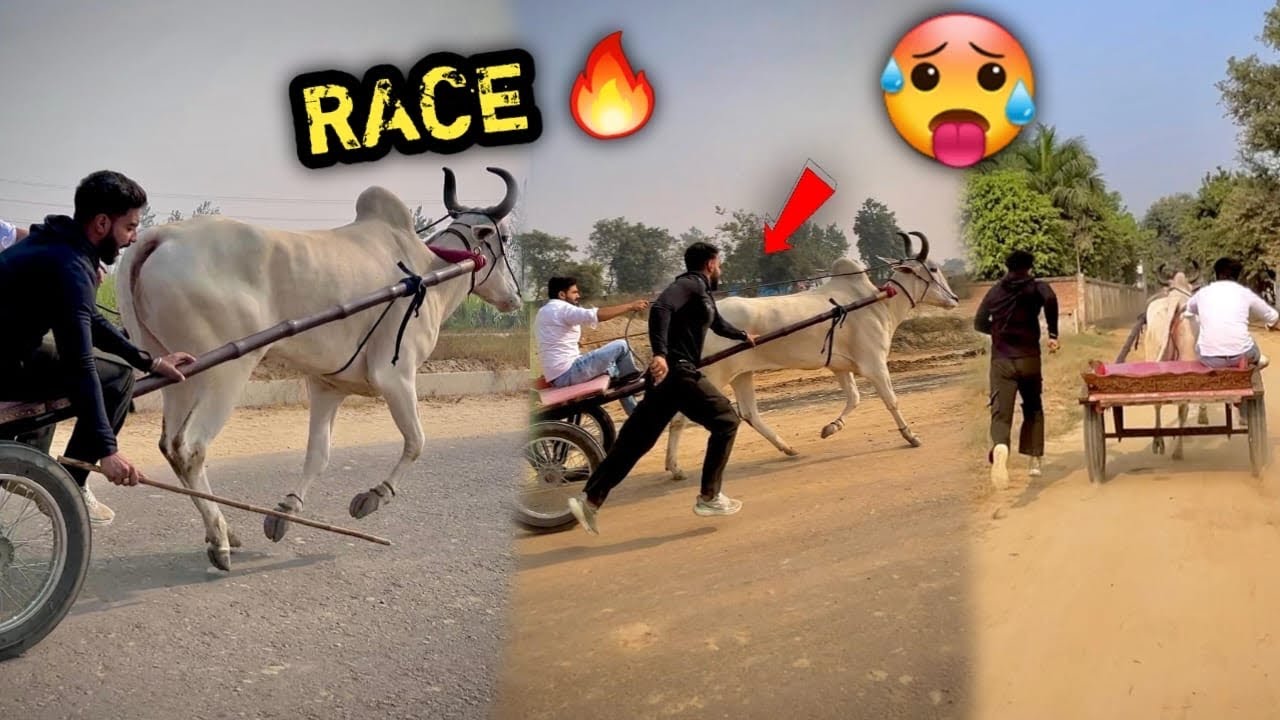 Zindagi Mai Pehli Baar Chori Se SINGHAM Ke Saath Race Krli 😰🔥Galti Hogyi Lekin Mujhse🥲