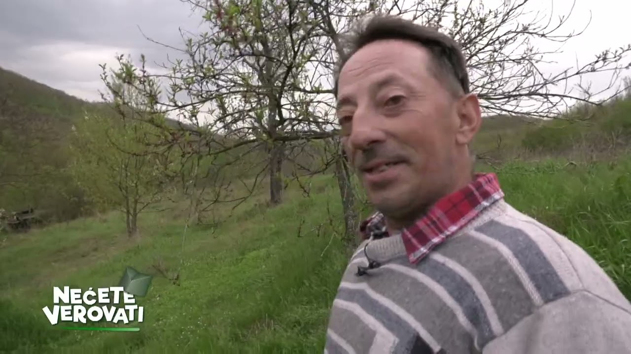 NEĆETE VEROVATI - Potomci Tanaska Rajića čuvaju ognjište u Stragarima