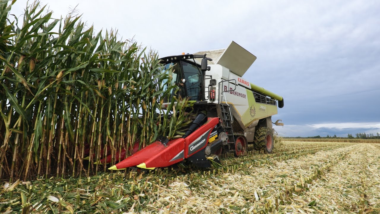 Lexion 7600 Terra Trac / 700 PS Stade-M&uuml;hle - CCM Ernte 2022