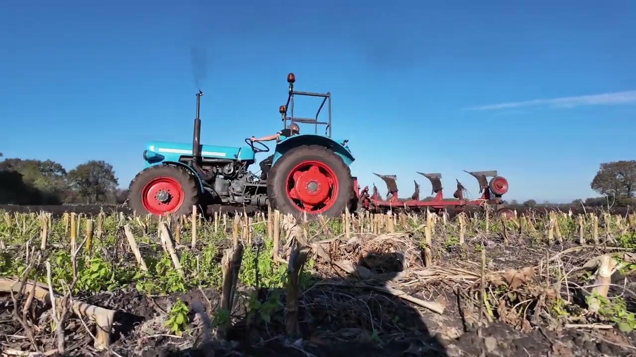 Oldtimer pflügen 2024/Fendt/Eicher/IHC/John Deere