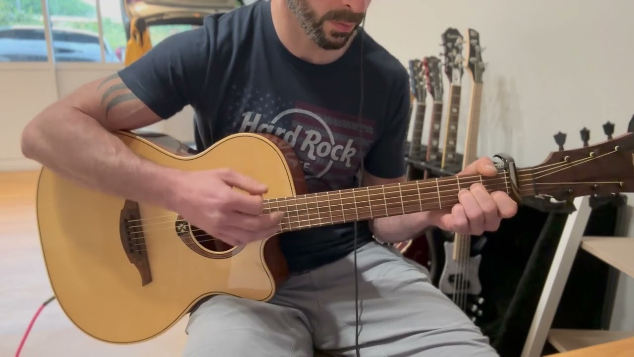 Alain Bashung - Immortel (Guitare Cover)