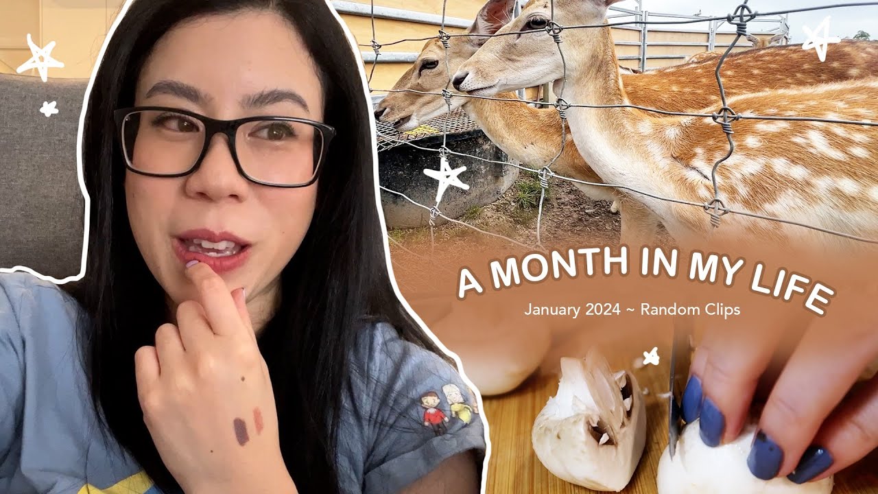 January, the month that was~ (snippets from my month!)
