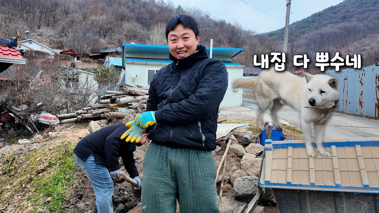 10년 묵은 시골 똥개 백구 집 철거해 버렸습니다