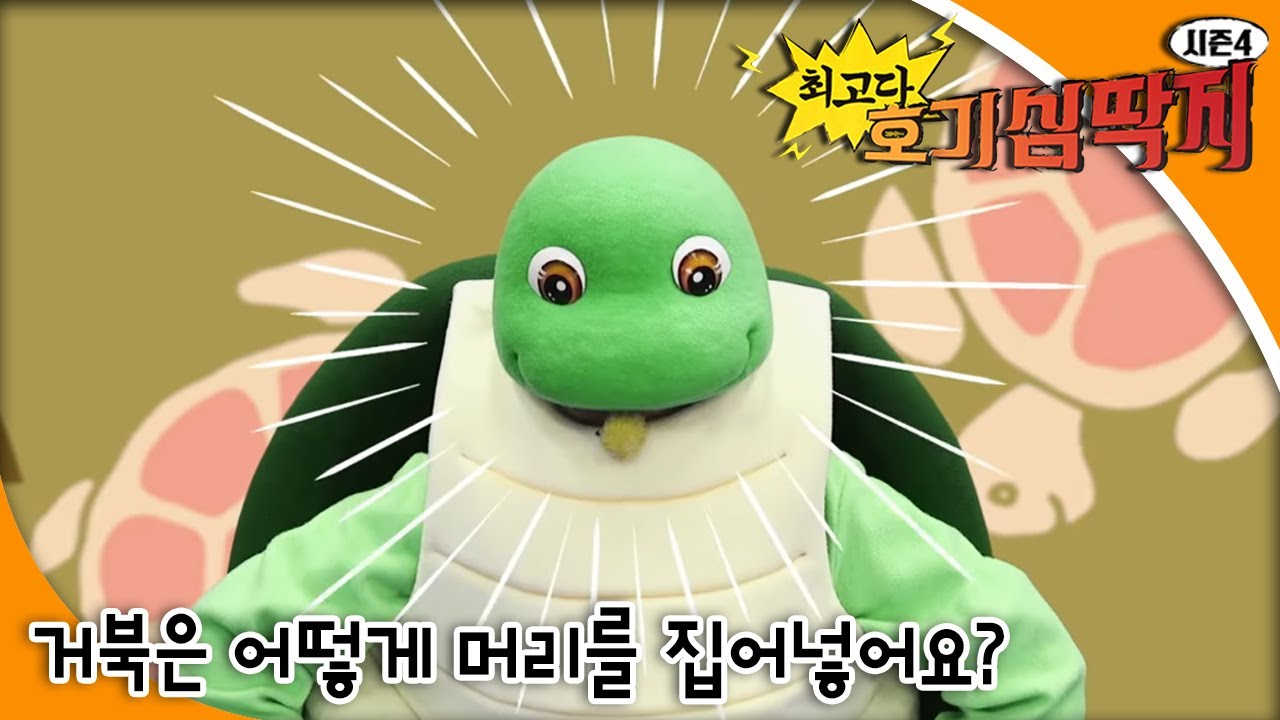 최고다! 호기심딱지 시즌4 - 거북은 어떻게 머리를 집어넣어요?