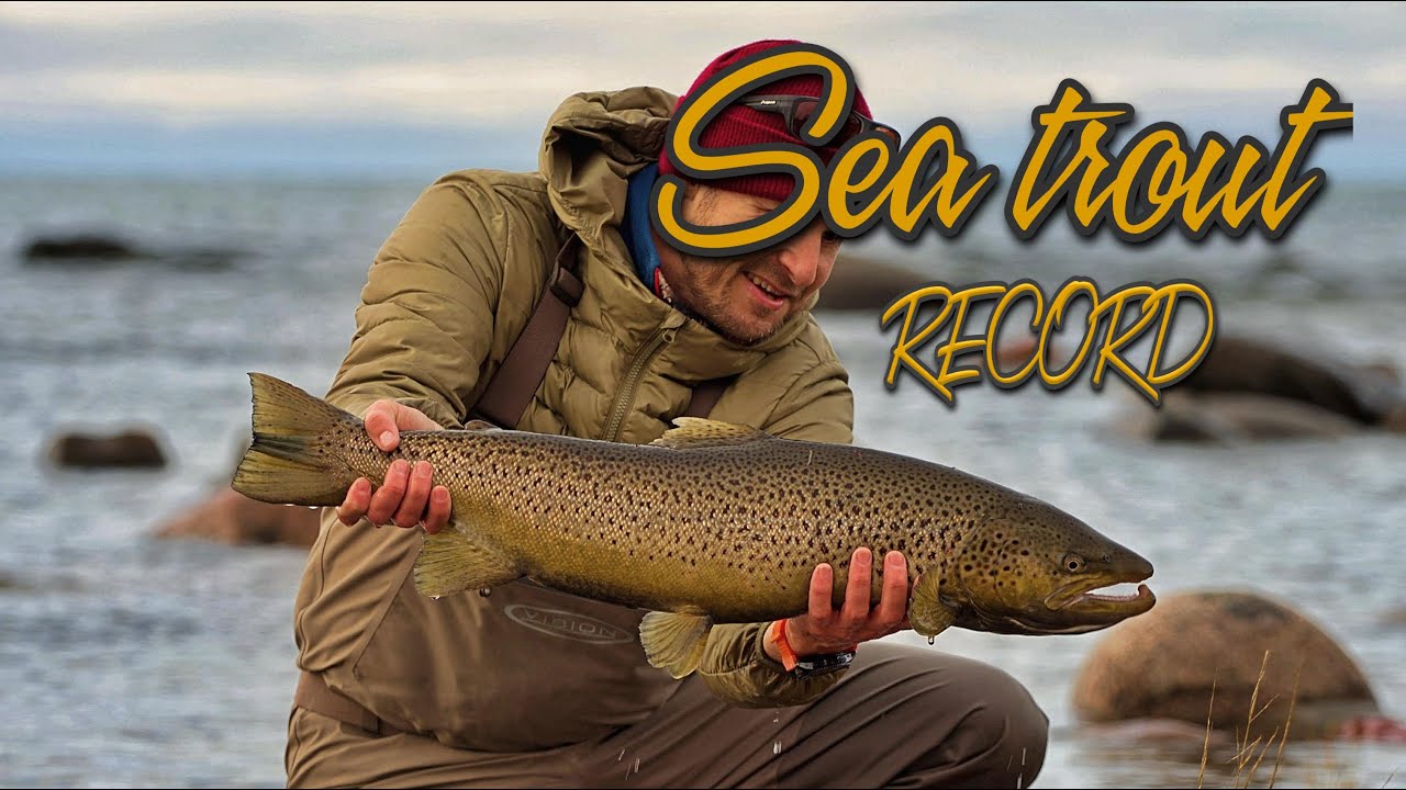 Sea trout record - on the Finnish coast #seatroutrecord #seatrout #record