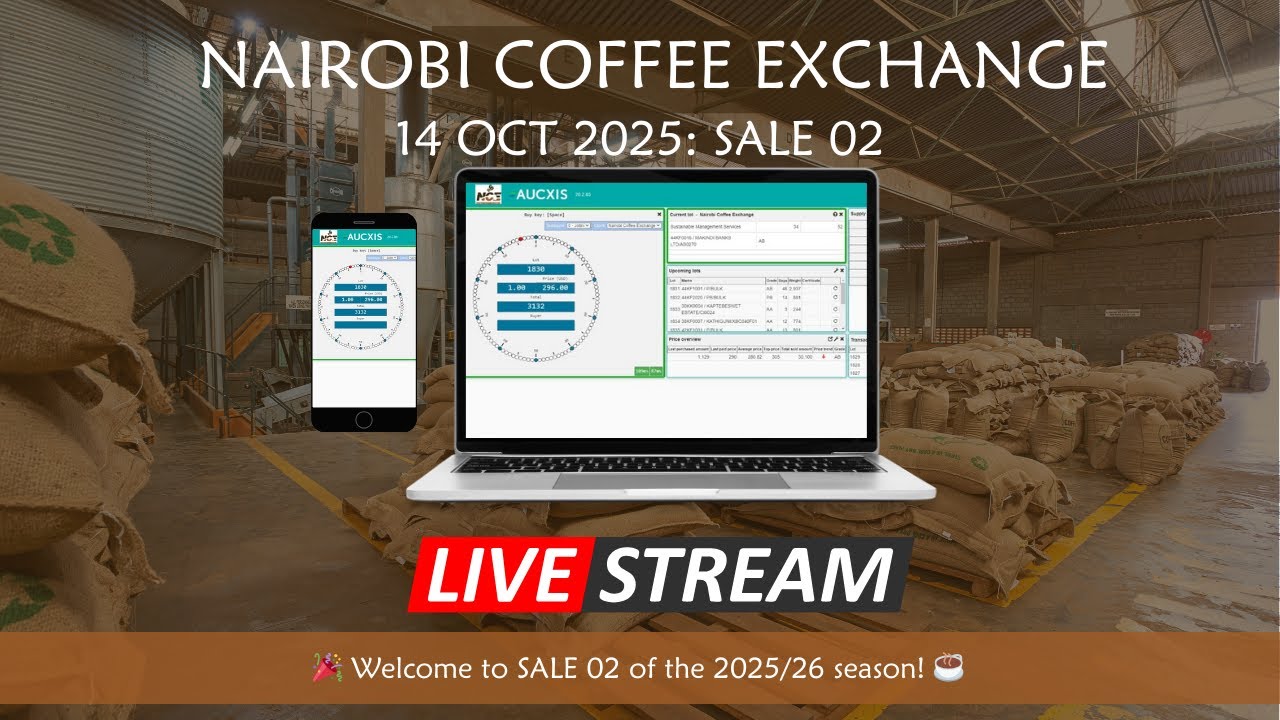 Sale 02 of season 25/26 Auction Livestream