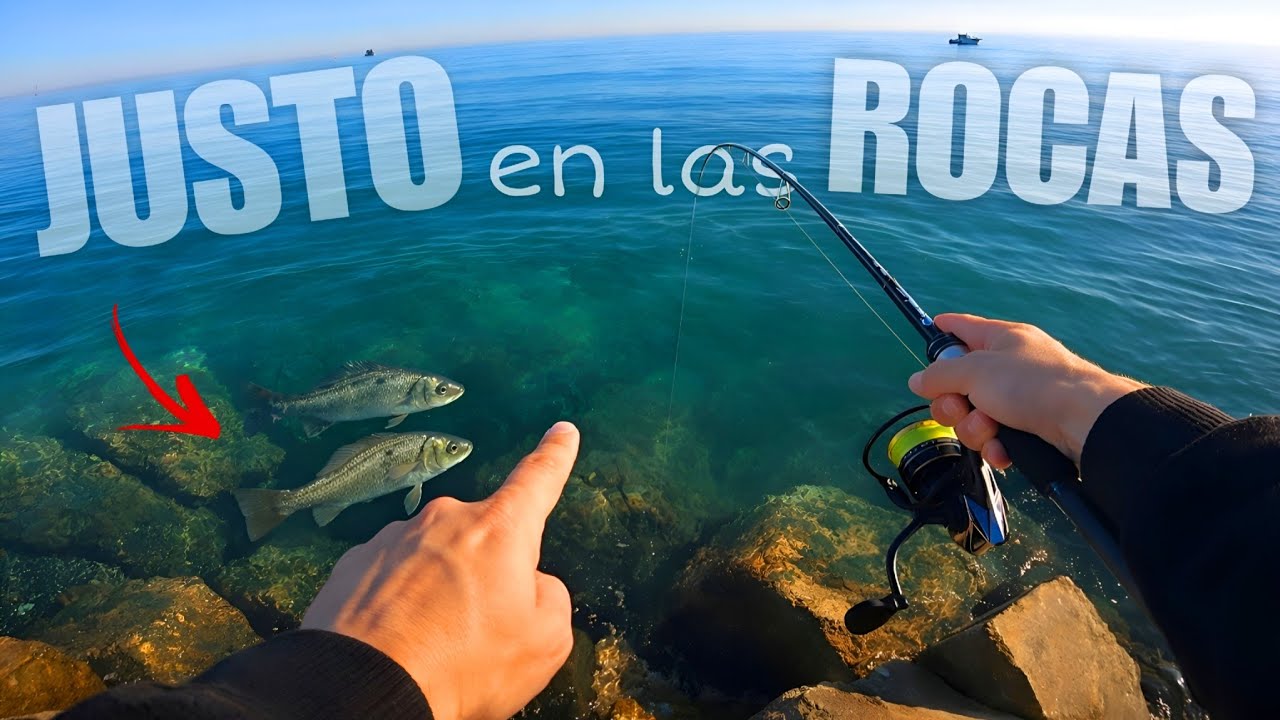¡LUBINAS tras nuestros VINILOS! ATARDECER pescando a SPINNING desde ESPIGÓN
