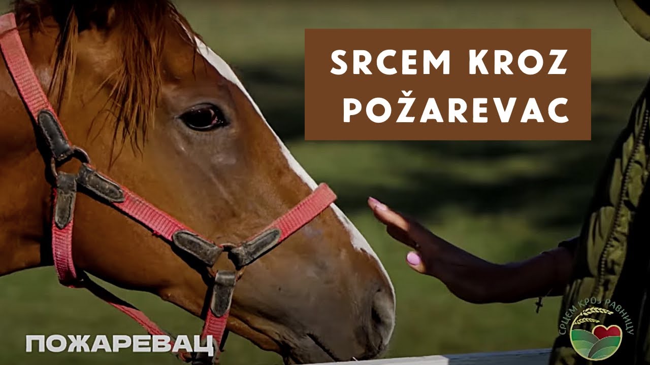 Zašto su POŽAREVAC i okolina, tako DIVNI i POSEBNI | SRCEM KROZ RAVNICU S02 EP11