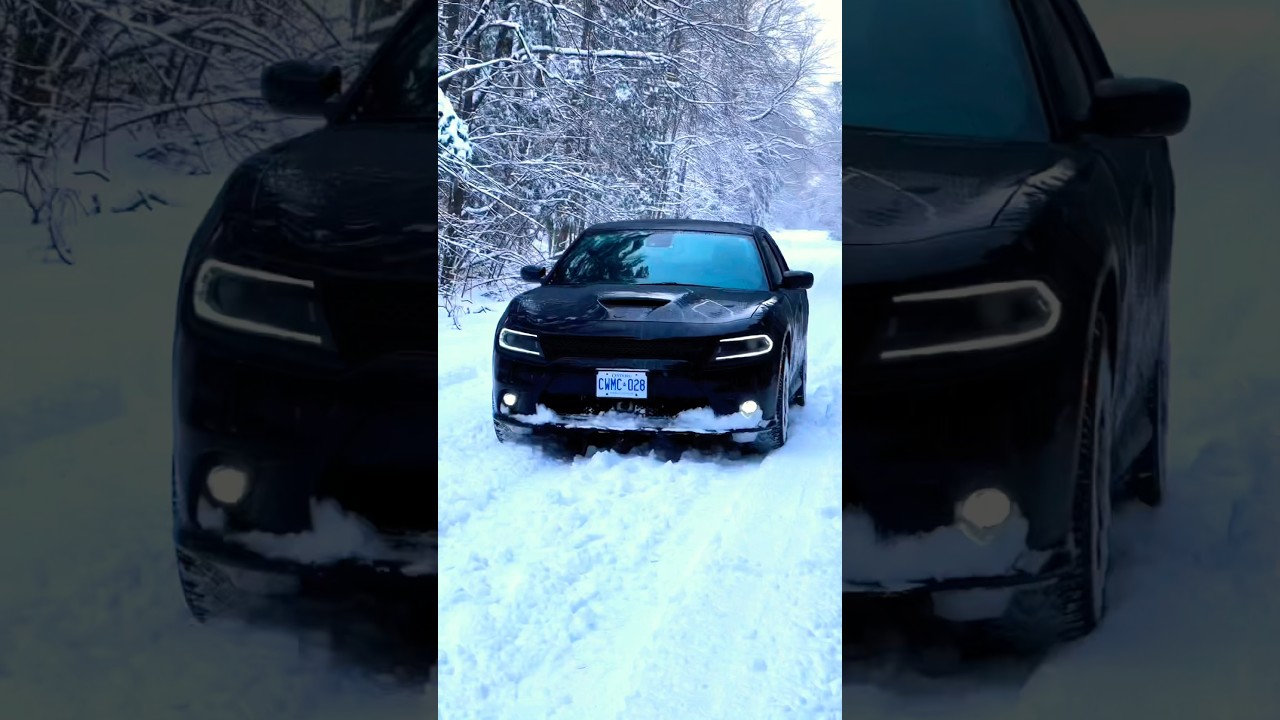 2023 Dodge Charger GT AWD #dodgecharger #awd #shortsindia #shortvideo #grandtouring #v6