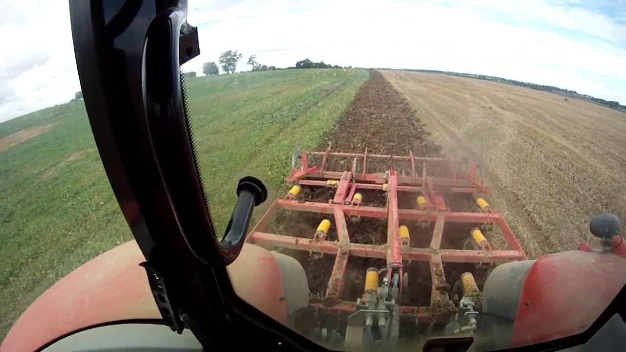 Massey Ferguson 6495& Vaderstad Cultus 350 uprawa. Kula RRK