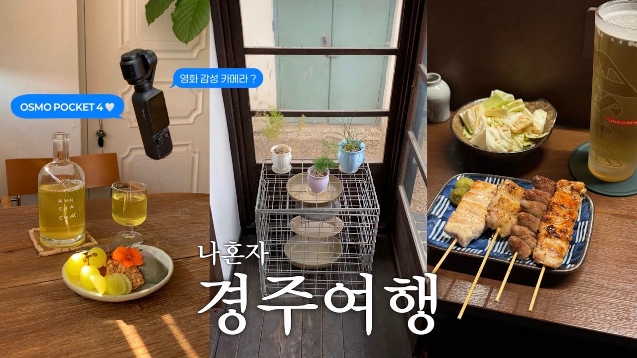 쎄빠지게 돌아다닌 n번째 대성공적 경주 혼여 vlog🌳 오즈모 포켓4를 곁들인 📸 찐존맛 혼술 이자카야, 경주 또또간집과 또갈집 강추, 느좋 갬성 카페 모음 📝