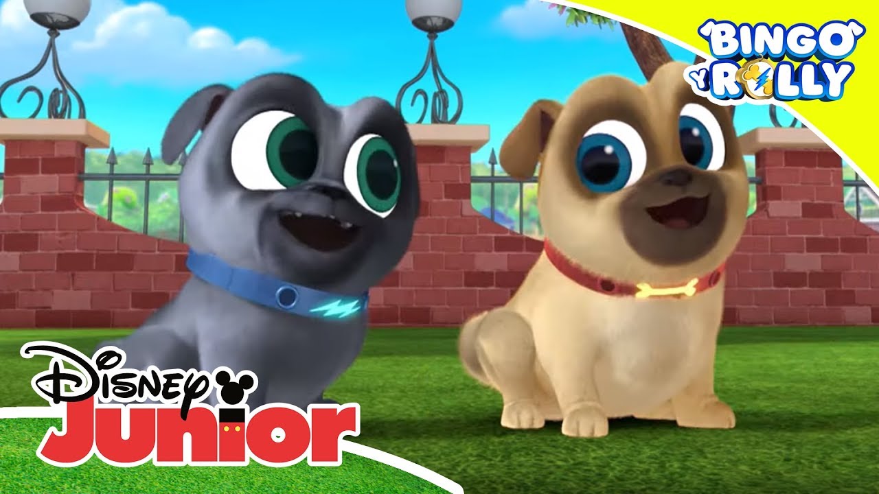 Bingo y Rolly: Canta con Bingo y Rolly vol. 2 | Disney Junior Oficial