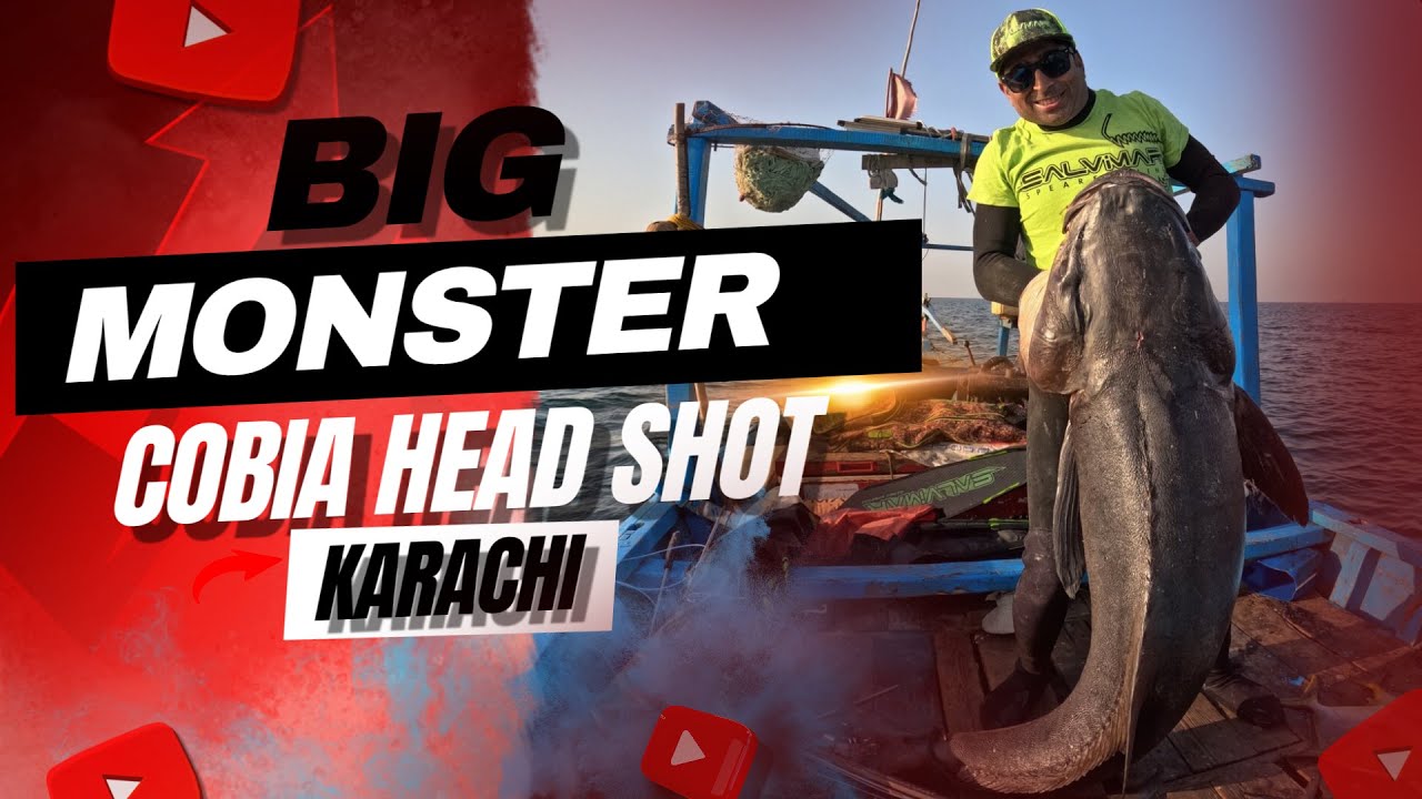 KARACHI BIG COBIA HEAD SHOT DOWN! Spearfishing a HUGE Barracuda and Mackerel