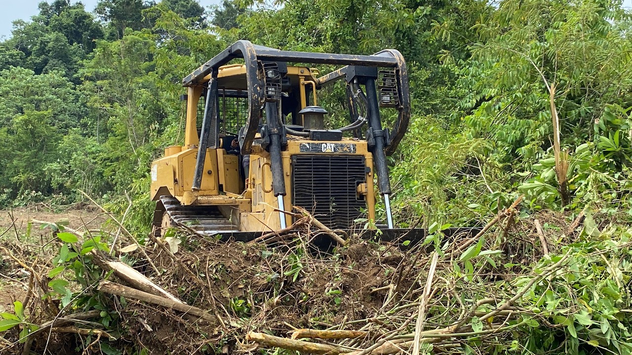Land Clearing Efficiency with the Caterpillar D6R XL Bulldozer
