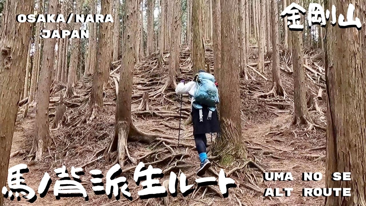QUICK N EASY 馬ノ背派生ルート