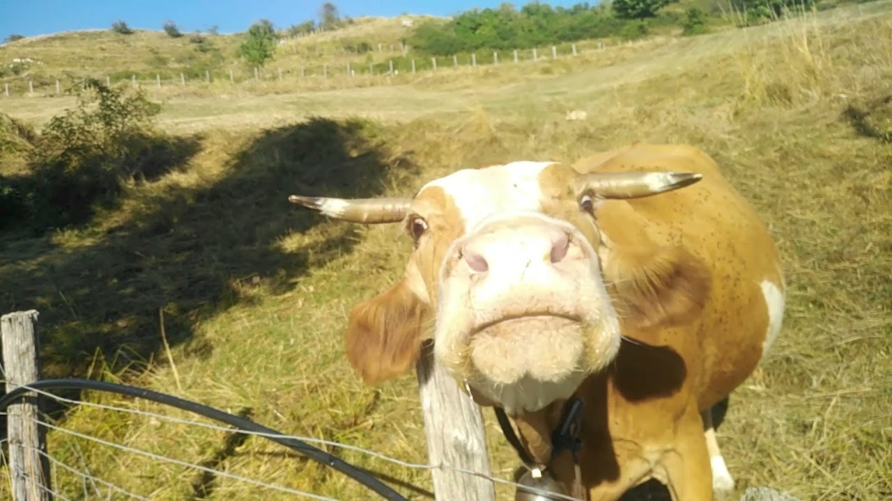 Paesaggi dell'Alta Val di Vara (2021)