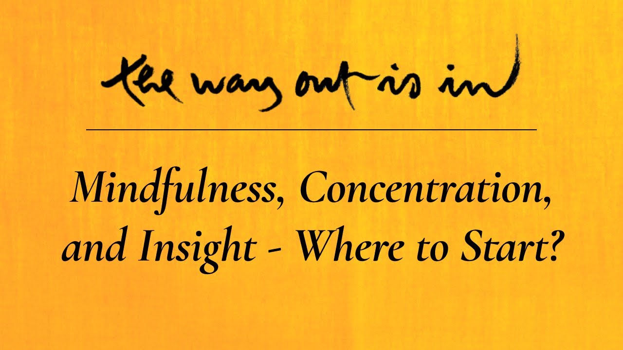 Mindfulness, Concentration, and Insight - Where to Start? | TWOII podcast | Episode #3
