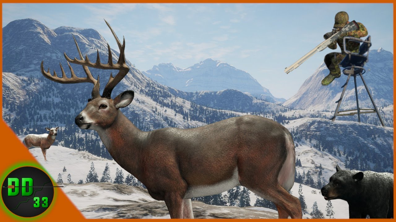 We Went MUZZLELOADER HUNTING In The Mountains Of ALBERTA! Call Of The Wild
