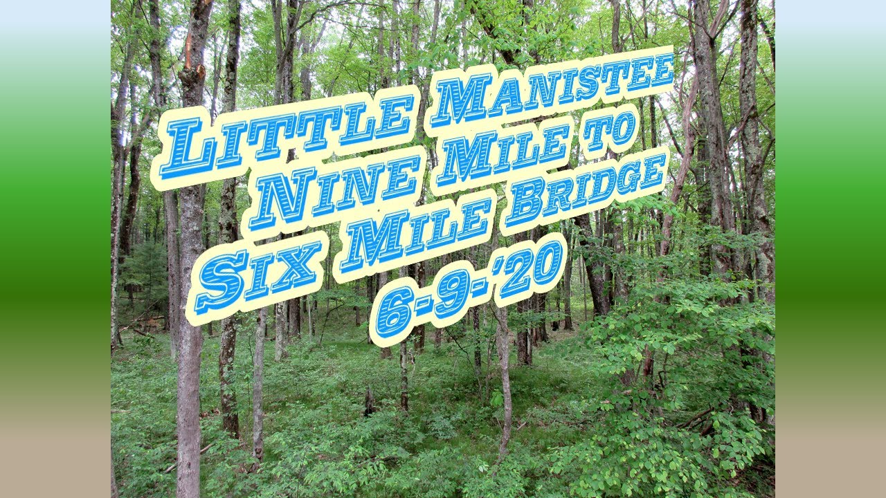 Little Manistee River Nine Mile Bridge to Six Mile Bridge - 6/9/'20