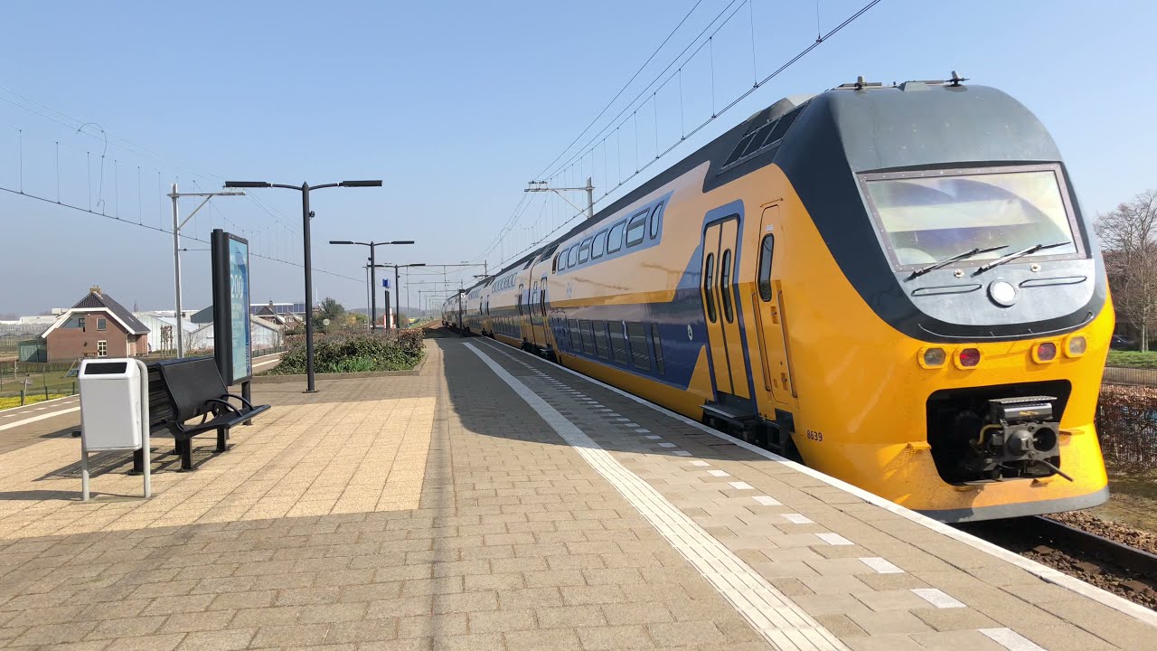 Treinen spotten (NS SNG, NS VIRMm, NS DDZ) / train spotting | Hillegom - 4K