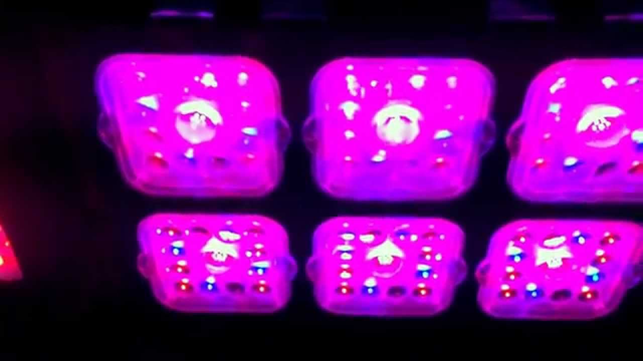 New Helios led grow light & Update 1-15-15