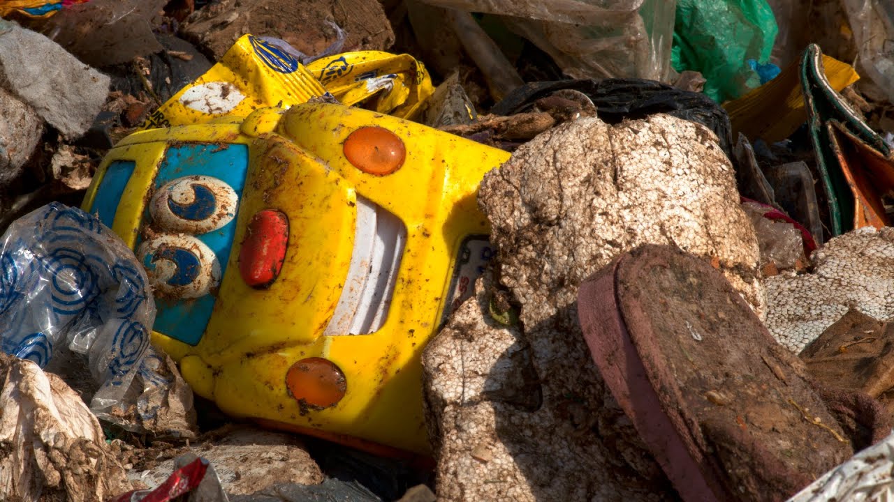 Basura orgánica