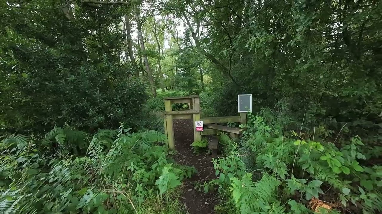 Mere sands wood
