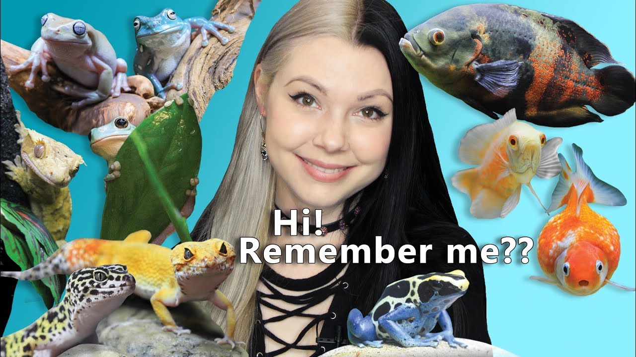 New Pets, New Projects (I'm back!)