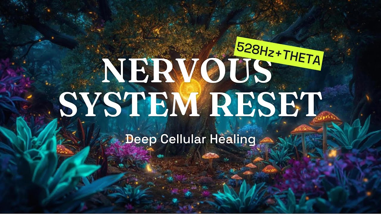 Ultimate Nervous System Reset | 528Hz Deep Cellular Healing & Theta Waves (Vagus Nerve Stimulation)