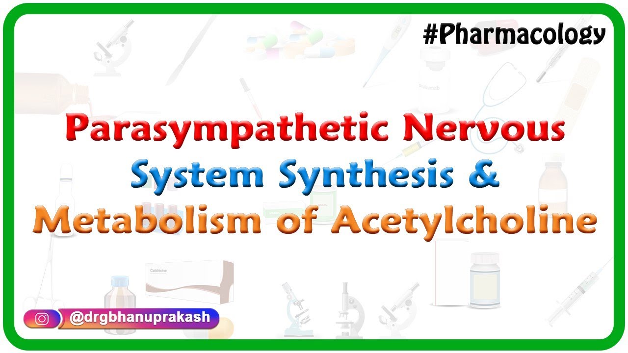 1.Parasympathetic nervous system - Synthesis and Metabolism of Acetylcholine ( ANS Pharmacology )