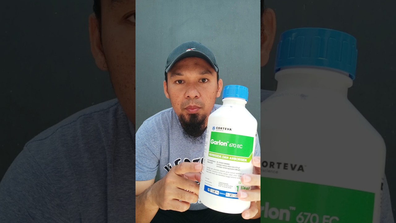 Herbisida Sistemik Garlon, Ampuh Sekali 