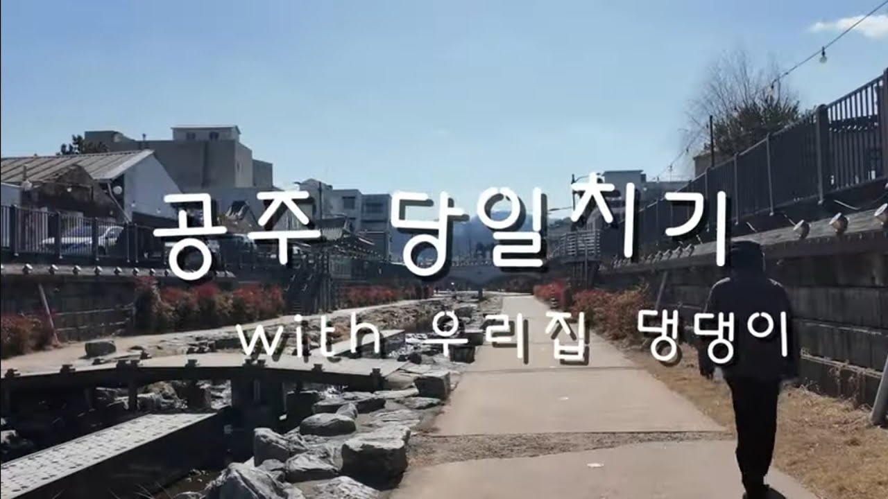 강아지랑 공주 당일치기 여행🤍 현지인 맛집, 애견동반카페, 떡집, 소품샵 그리고 산책