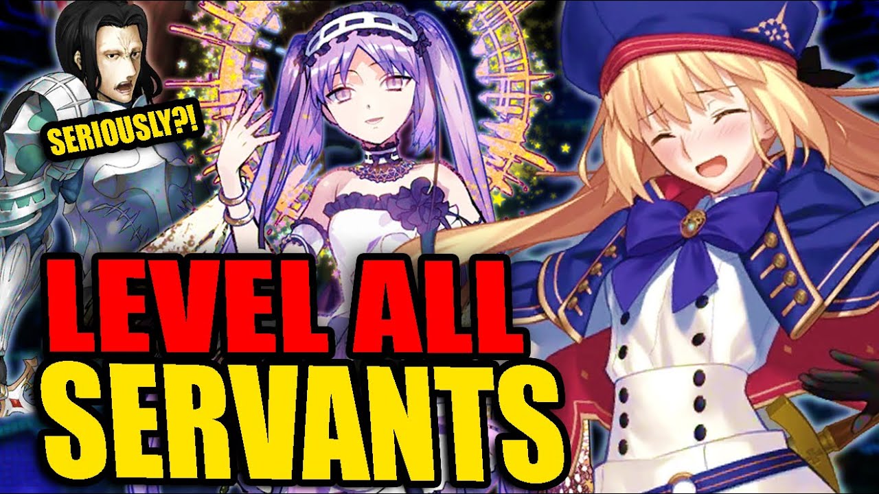 LEVEL ALL OF YOUR SERVANTS! ... seriously