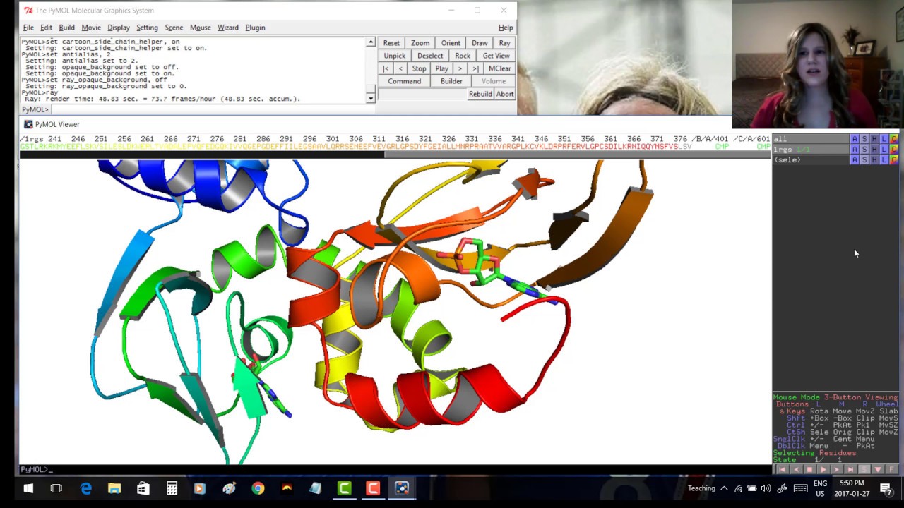 Pymol для начинающих - видео 1: ориентация