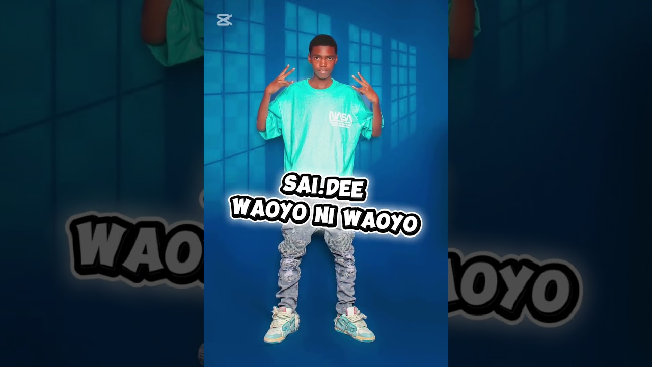 Sai Dee ft shlai x Kelly dabo waoyo ni waoyo .2026
