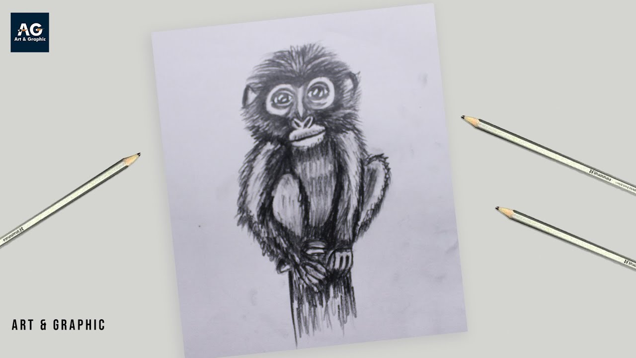 How to Draw a realistic Baby Monkey | Easy Pencil Drawing