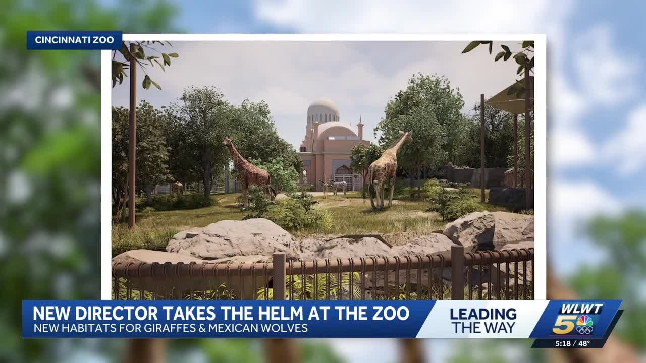 Cincinnati Zoo hatches rare penguin chicks and unveils new giraffe experience