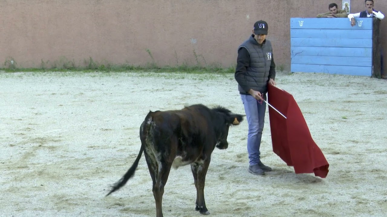 Tienta Clément Bouchet