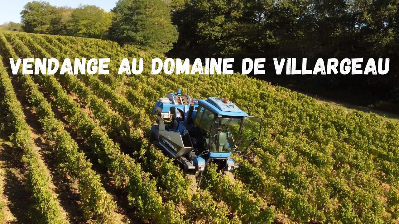 Vendange au Domaine de Villargeau