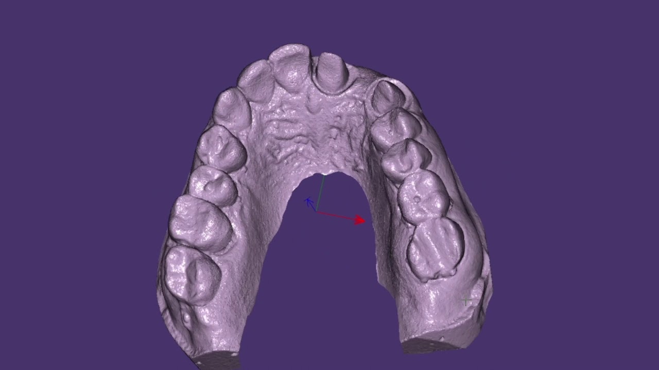 Ceratura Diagnostica