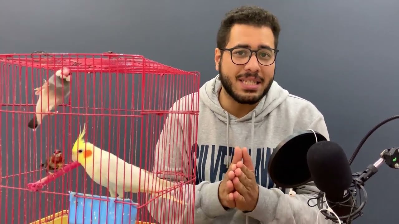 ندمت جدا لما اشتريت العصفور دة من سوق الجمعة_ و السبب غريب جدا !!!