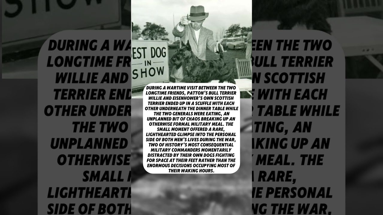 Patton's Dog And Eisenhower's Dog Once Got Into A Fight Under The Dinner Table