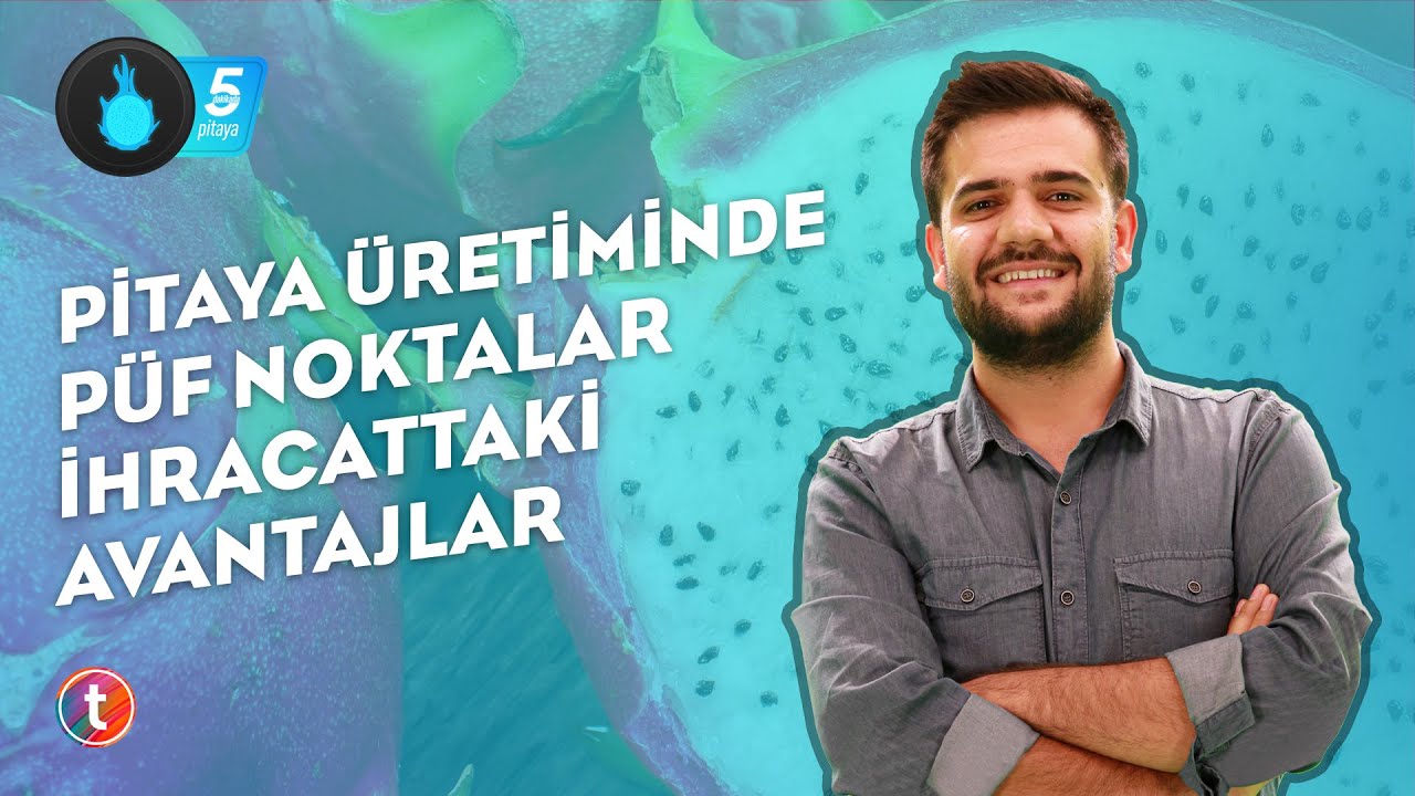 5 Dakikada Pitaya