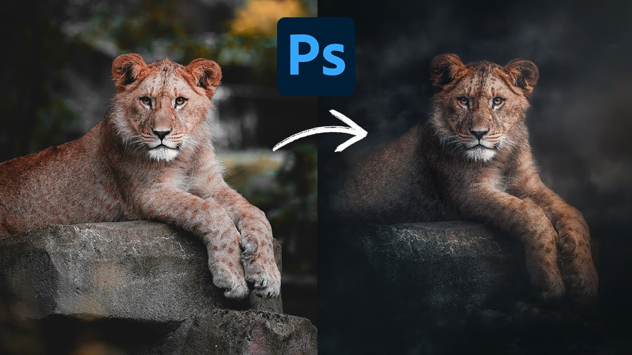 Transform Ordinary Photos Into Dark Moody Masterpieces